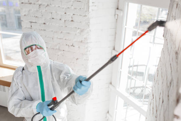 Biohazard Mold Removal in Yutan, NE