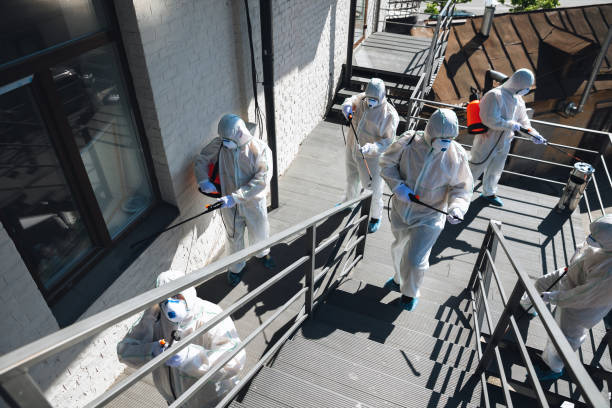 Best Mold Prevention Services  in Yutan, NE