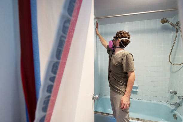 Best Basement Mold Removal  in Yutan, NE