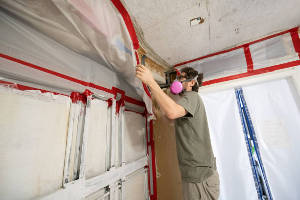 Best Biohazard Mold Removal  in Yutan, NE
