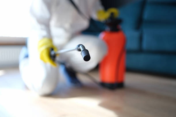 Best Real Estate Mold Inspection  in Yutan, NE