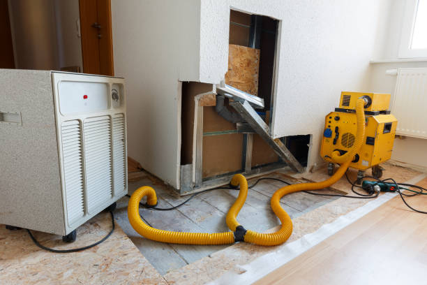 Best Post-Remediation Verification Testing  in Yutan, NE
