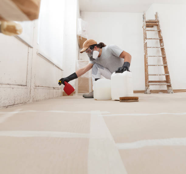 Best Mold Remediation for Healthcare Facilities  in Yutan, NE